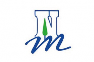 WEB NSM