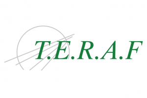 WEB TERAF